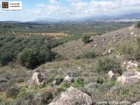 Grundstück kaufen Peritz klein e7e4pthyye56