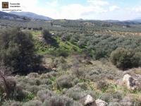 Grundstück kaufen Peritz klein ox3g0lrzs2dv