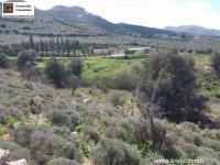 Grundstück kaufen Peritz klein rax5suepgouw