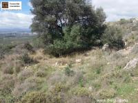 Grundstück kaufen Peritz klein xrxvbs0pc37o