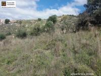 Grundstück kaufen Peritz klein zh79h2bwagkk