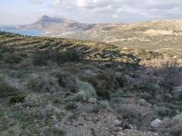 Grundstück kaufen Phalasarna klein 4b8wrhsusa2b