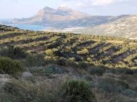 Grundstück kaufen Phalasarna klein e4q6dxki9wr3