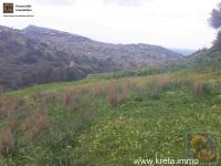 Grundstück kaufen Pitsida klein g4rlbo7hkxwi