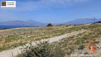 Grundstück kaufen Pitsidia klein 2jhkqadodcbu