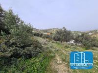 Grundstück kaufen Pitsidia klein 2n2oh4afj8xs