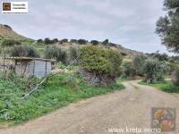 Grundstück kaufen Pitsidia klein 31l810xwpc1a