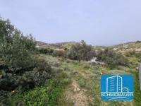 Grundstück kaufen Pitsidia klein 8665pae27fxe