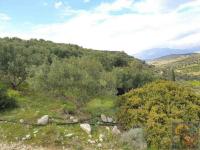 Grundstück kaufen Pitsidia klein 8jskhwhi3ar8