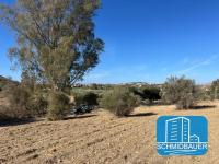 Grundstück kaufen Pitsidia klein 9phvme7tp9t6