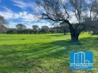 Grundstück kaufen Pitsidia klein cv0i9ppbwxyv