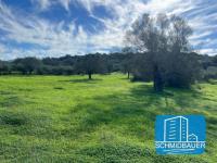 Grundstück kaufen Pitsidia klein dzsly9549yg5