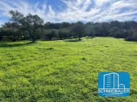 Grundstück kaufen Pitsidia klein g0zd145cfbz7