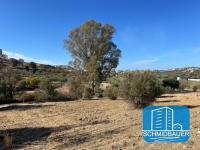 Grundstück kaufen Pitsidia klein gkfoba93zpnf