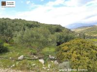 Grundstück kaufen Pitsidia klein kd0styi7l1ag