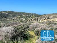 Grundstück kaufen Pitsidia klein l7ku1hn7gd5q