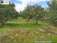 Grundstück kaufen Pitsidia klein lplxdu79kowq