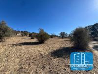 Grundstück kaufen Pitsidia klein n5c7mv0rbw25