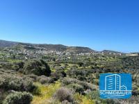 Grundstück kaufen Pitsidia klein qbmei1e352zu