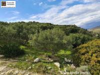 Grundstück kaufen Pitsidia klein s5q41wcoj8nm