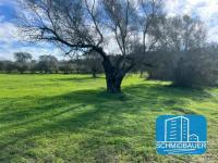 Grundstück kaufen Pitsidia klein s8a98ok3mzkc