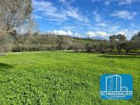 Grundstück kaufen Pitsidia klein tglj4dqgk5ph