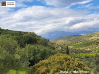 Grundstück kaufen Pitsidia klein tjn5ix0ume75