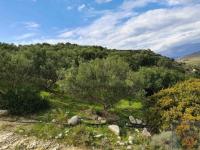 Grundstück kaufen Pitsidia klein wgzs7sbe63cl