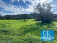 Grundstück kaufen Pitsidia klein zo3sku687e2m