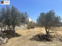 Grundstück kaufen Pitsidia (Komos) klein f9vbi53j6a41