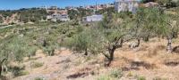 Grundstück kaufen Plaka bei Chania klein 2qi93tf3agb8