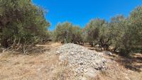 Grundstück kaufen Plaka bei Chania klein a8ai0nqdn7vp