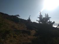 Grundstück kaufen Plakalona klein kh31zn8eqsrf