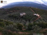 Grundstück kaufen Platanias klein rkamy5h9nh66