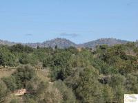 Grundstück kaufen Porto Cristo klein 531r1ujpoak6