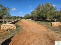 Grundstück kaufen Porto Cristo klein skgmlog6b137