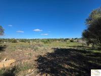 Grundstück kaufen Porto Cristo klein zagsxio9hvux