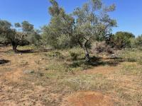 Grundstück kaufen Prines klein 8x989t0xg6ct