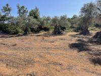 Grundstück kaufen Prines klein ao939uxwszz6