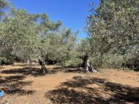 Grundstück kaufen Prines klein khnt17g4fixu