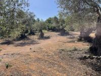 Grundstück kaufen Prines klein wxp90he6ubqx