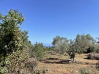 Grundstück kaufen Prines klein zywox7go16na