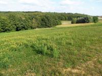 Grundstück kaufen Radenci klein f7jov5u90cal