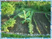 Grundstück kaufen Ramon Santana klein he4oebl2fj7v