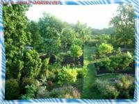 Grundstück kaufen Ramon Santana klein kau4xvqqva01