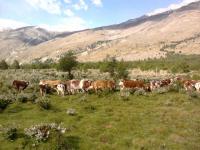 Grundstück kaufen Rio Engano klein ts2s9chd2m91