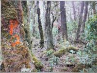 Grundstück kaufen Rio Engano klein usz4e3u3kge3