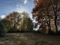 Grundstück kaufen Roetgen klein lq1ddrxpkirw