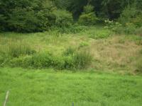 Grundstück kaufen Ruhstorf an der Rott klein ij681t01l9kh