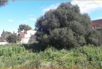 Grundstück kaufen Sa Coma klein 39qc4tf2doai